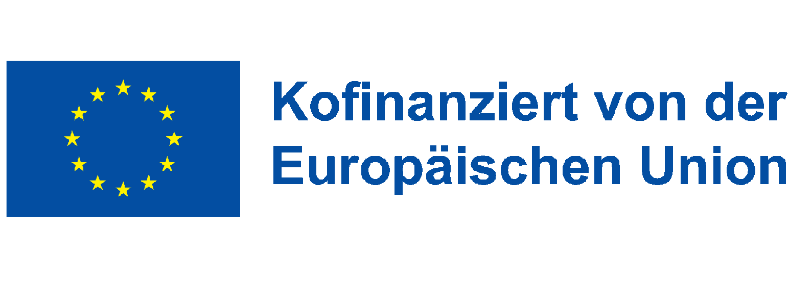 EU Logo